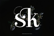 Clarita | Modern Unique Serif, a Serif Font by Mahesans Co (Thumbnail 2 of 10)
