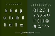 Qitello Ligature Serif Typeface, a Serif Font by Alfinart (Thumbnail 9 of 10)