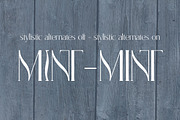 White Mint - elegant display serif, a Font by Innire (Thumbnail 8 of 9)