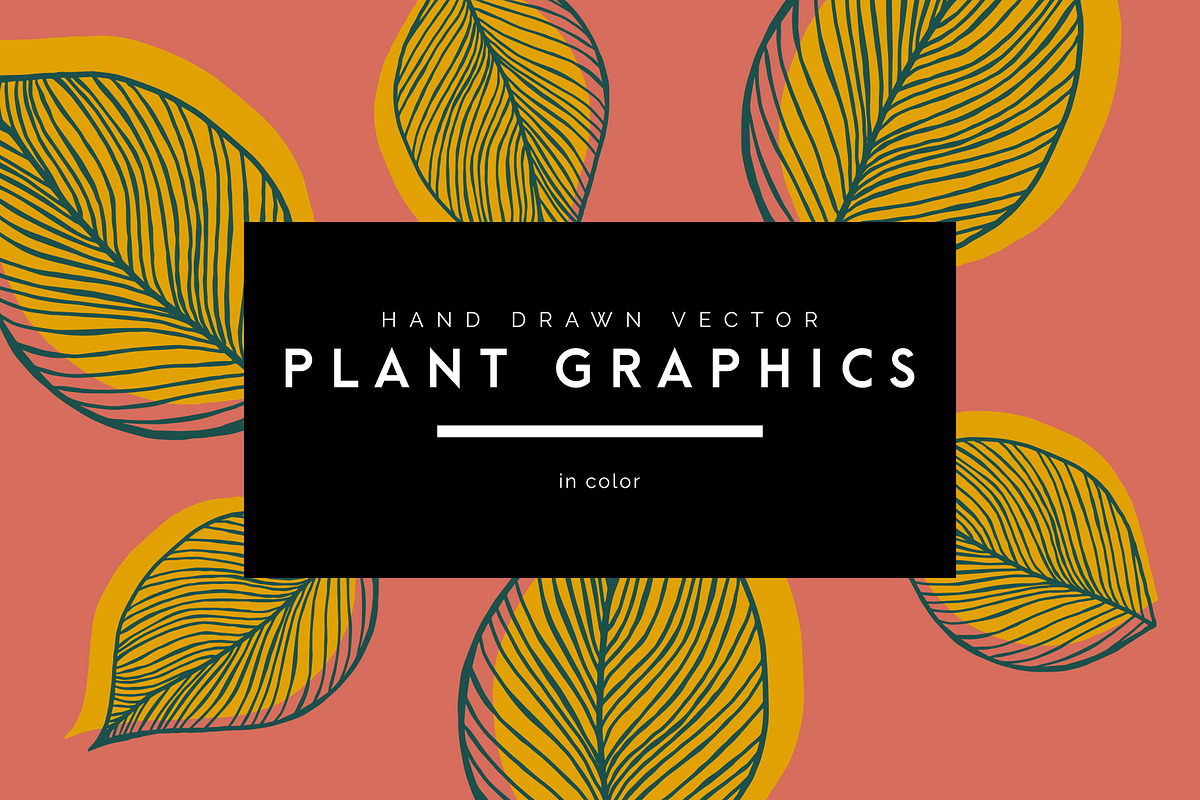 Vector Plant & Leaf Graphics, a Background Graphic by Dorey Kronick Art&Design (Photo 1 of 19)