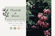 Ciera watercolor svg font & florals, a Script Font by Angele Kamp (Thumbnail 2 of 10)