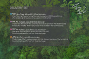 60 Photoshop Foliage & Grass brushes, a Brush Add-On by Eldar Zakirov's (Thumbnail 6 of 8)
