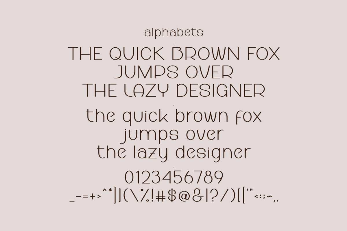 Amelica Monde Font, a Sans Serif Font by ponuppo (Photo 2 of 5)