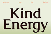 CS Reamus Drawn, a Serif Font by Craft Supply Co. (Thumbnail 3 of 8)