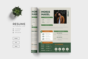 Clean Modern Minimalist Resume / CV, a Resume Template by TMint Play