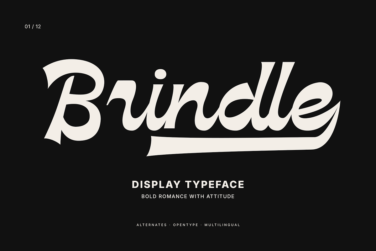 Brindle — Bold Script Display Font, a Handwritten Font by Hasbi Creative (Photo 1 of 12)