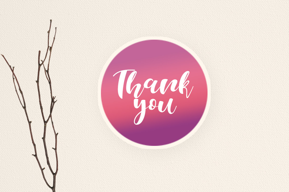 Selda Script Font Duo preview 7