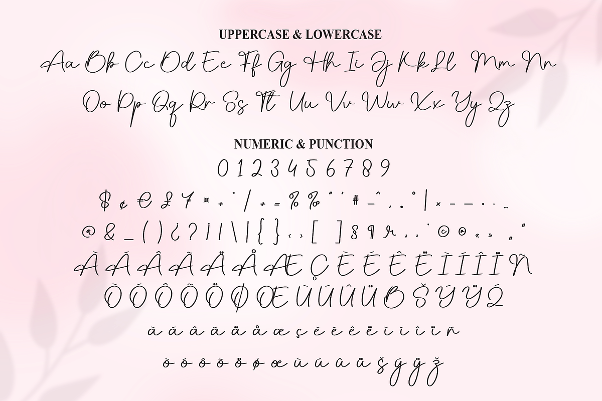 Beauty | Script Font, a Handwritten Font by Scratchones (Photo 7 of 9)
