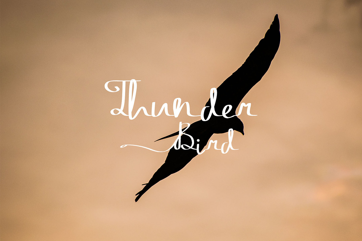 Nocturn, a Script Font by iyhulmonsta (Photo 6 of 6)