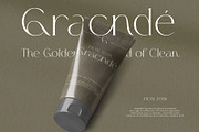 The Genium - Elegant Classic Serif, a Serif Font by GridlineType (Thumbnail 7 of 10)