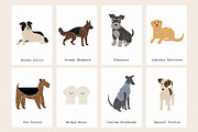 Friends: 23 different dog breeds, an Animal Illustration by Mii Lab (Thumbnail 11 of 13)