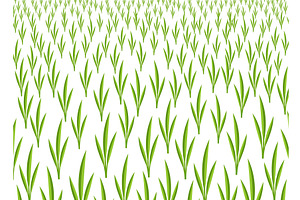 Growing young cereals plant shoots, a Texture Graphic by Ilia Design