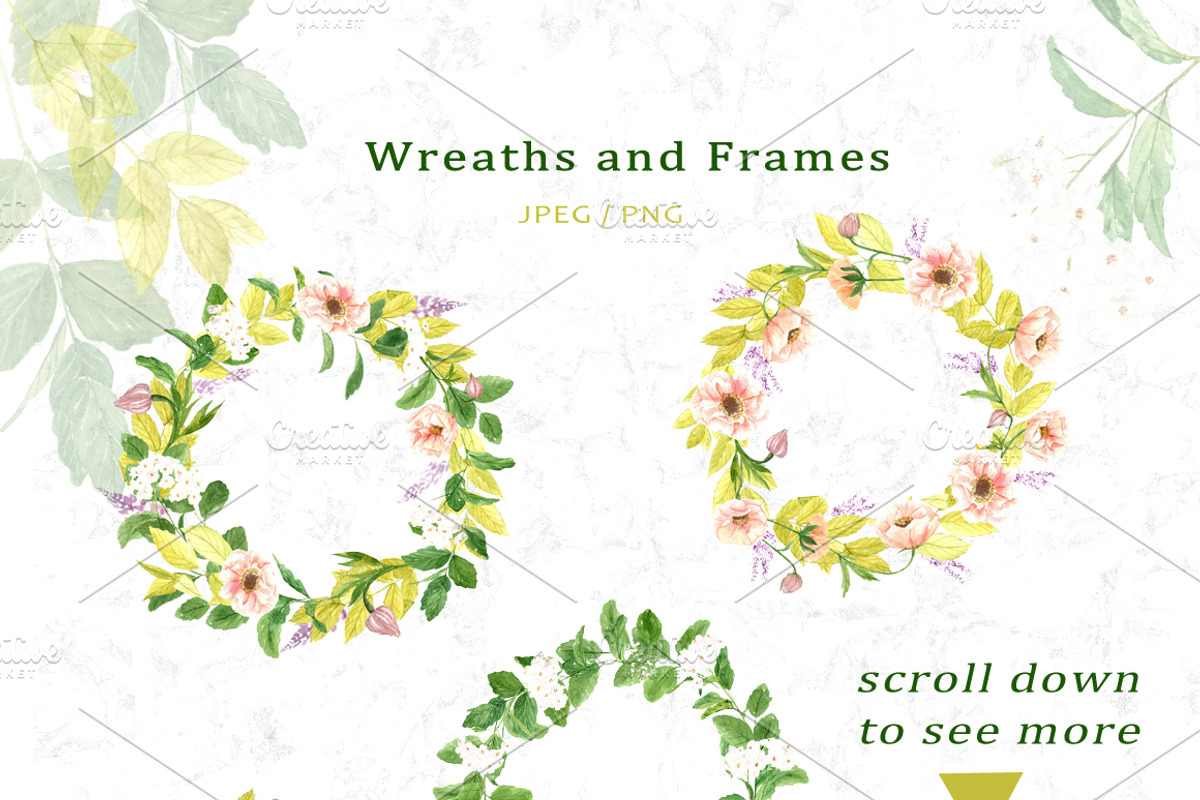 Pretty Flowers - Watercolor ClipArt, an Illustration by OlgaSerbun (Photo 4 of 5)