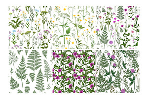 Wild Herbs. Wildflowers Pattern