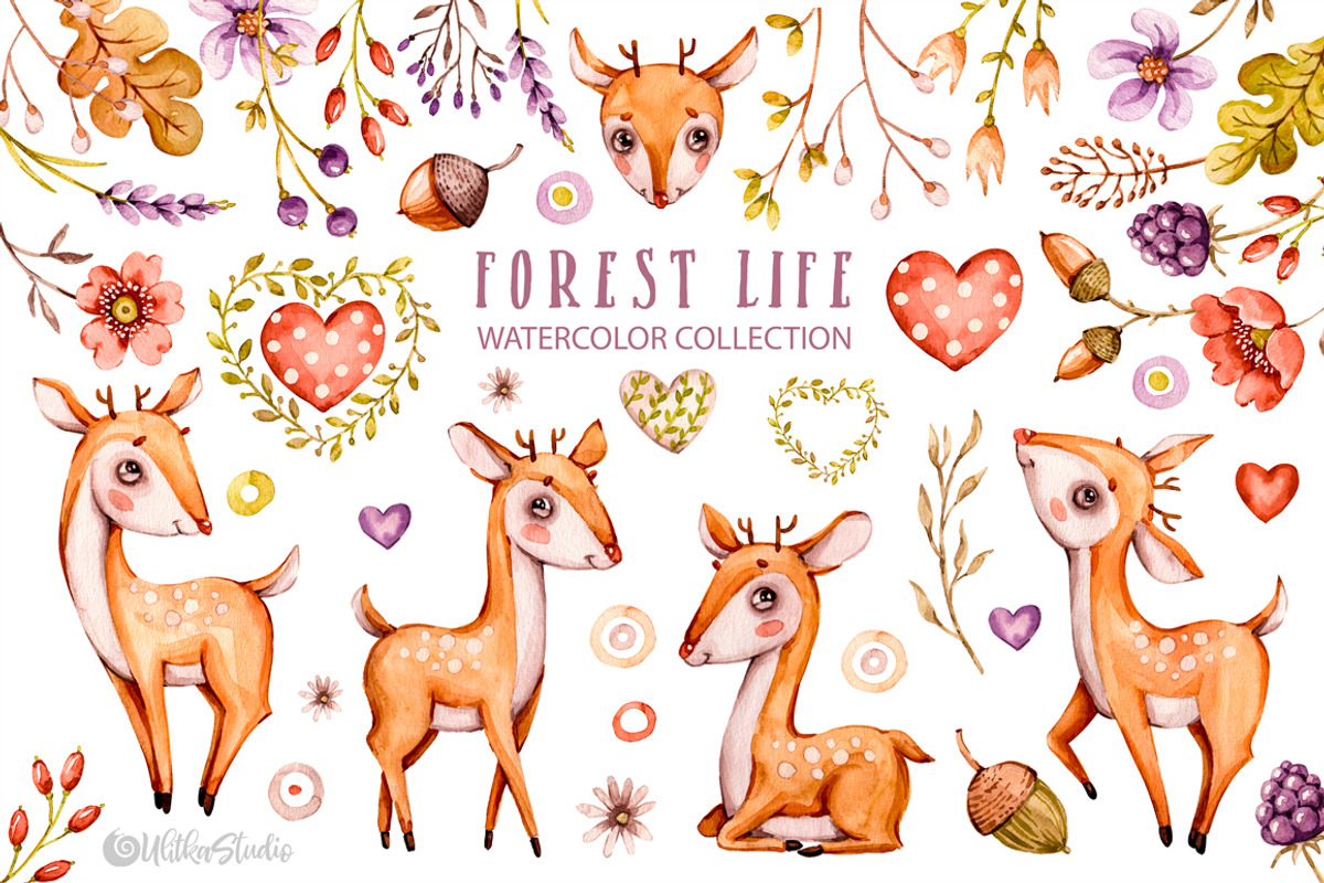 Forest Nursery Watercolor clipart, an Animal Illustration by UlitkaStudio (Photo 1 of 8)