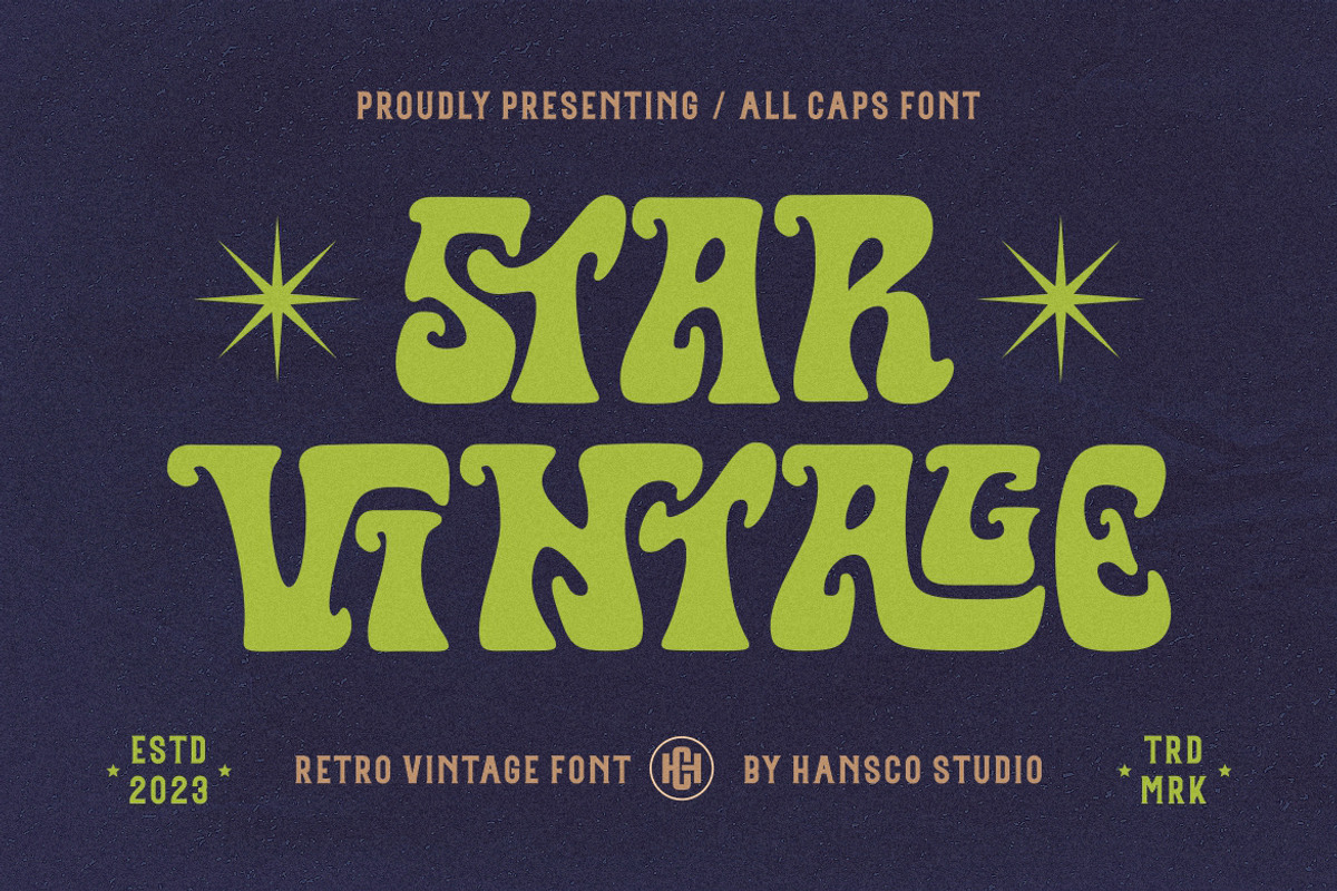 Star Vintage Font, a Sans Serif Font by HansCo Studio (Photo 1 of 8)