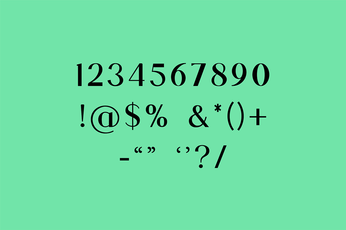 Palaestra Modern Display Serif Font, a Serif Font by UICreative (Photo 6 of 13)