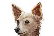 Dogs Cross Breeds 56 Animals Bundle, an Animal Illustration by Dneprstock (Thumbnail 32 of 55)