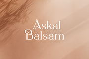 Agata - Modern Elegant Serif, a Serif Font by Vroz Studio (Thumbnail 9 of 11)