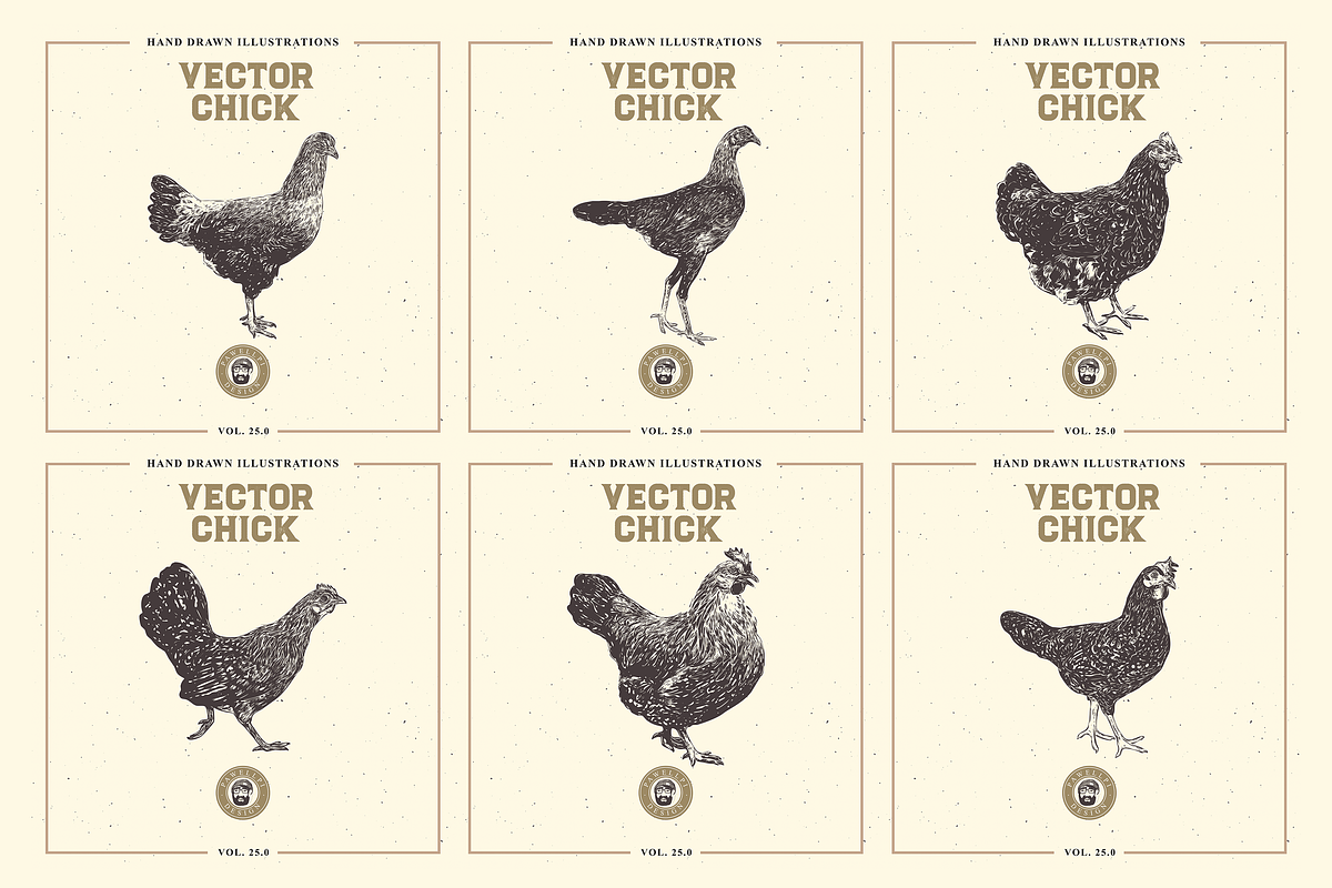 VECTOR CHICK HAND DRAWN BUNDLE VOL25, an Animal Illustration by pawellpi (Photo 3 of 9)