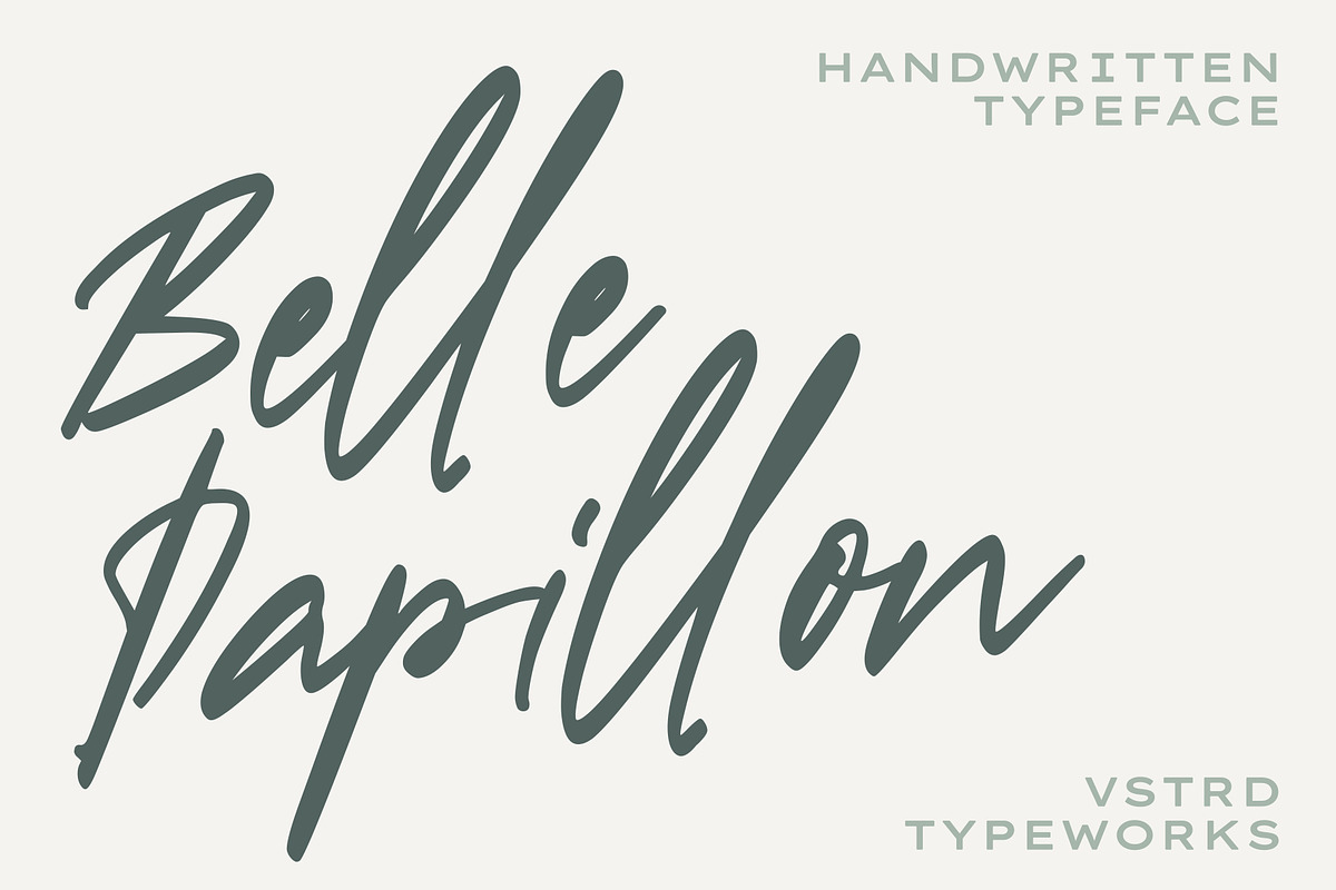 Belle Papillon - Handwritten Font, a Handwritten Font by VASTARD STUDIO (Photo 1 of 12)