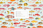 Mulgogi, Luxury Aquatic Designs., a Pattern Graphic by TSTUDIO (Thumbnail 4 of 15)