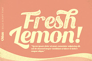 Otista, a Script Font by Omotu Studio (Thumbnail 4 of 14)
