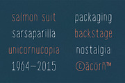 White Label, a Font by Ekloff (Thumbnail 4 of 4)