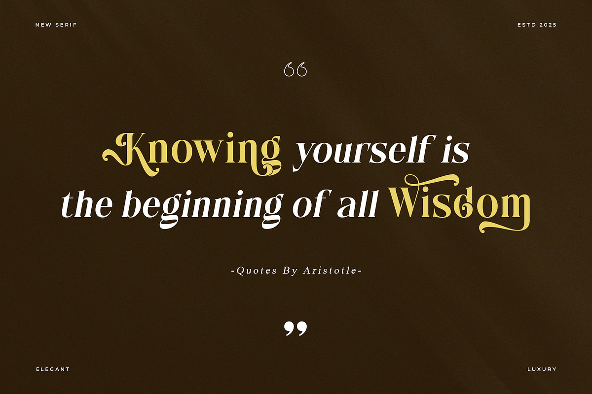 Wistle – Elegant Stylish Serif, a Serif Font by Almeera Std (Photo 3 of 10)