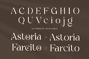 Clover - Modern Serif Logo Font, a Serif Font by Sensatype (Thumbnail 9 of 12)