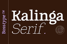 Kalinga | 91 Style Font