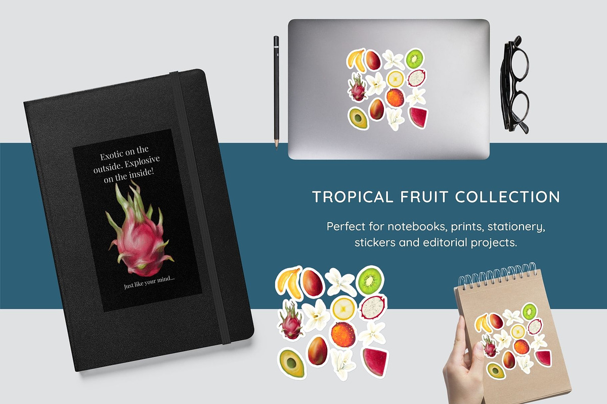 Tropical Fruit Clipart & Patterns, a Decorative Illustration by StudioLapis (Photo 3 of 6)