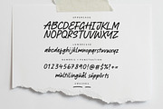 Richglory - Handbrushed Font, a Script Font by Letterative Studio (Thumbnail 6 of 7)
