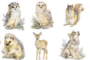 Watercolor Woodland Animals clipart, an Illustration by Designworld (Thumbnail 2 of 5)