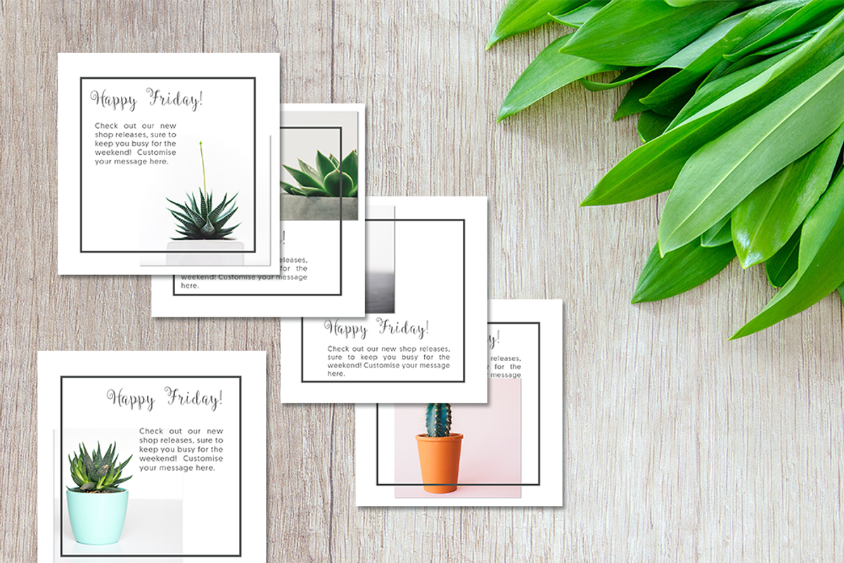 Social Media Advert Pack- Succulents, a Social Media Template by Velvet Letter Studio