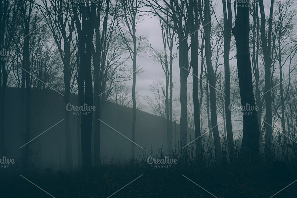 Halloween Forest pack 2018 Hi Res, a Nature Photo by Atmospheric visuals (Photo 11 of 11)