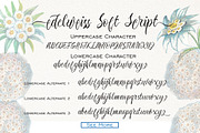 Edelweiss Soft Script, a Script Font by McJer.Studio (Thumbnail 3 of 9)