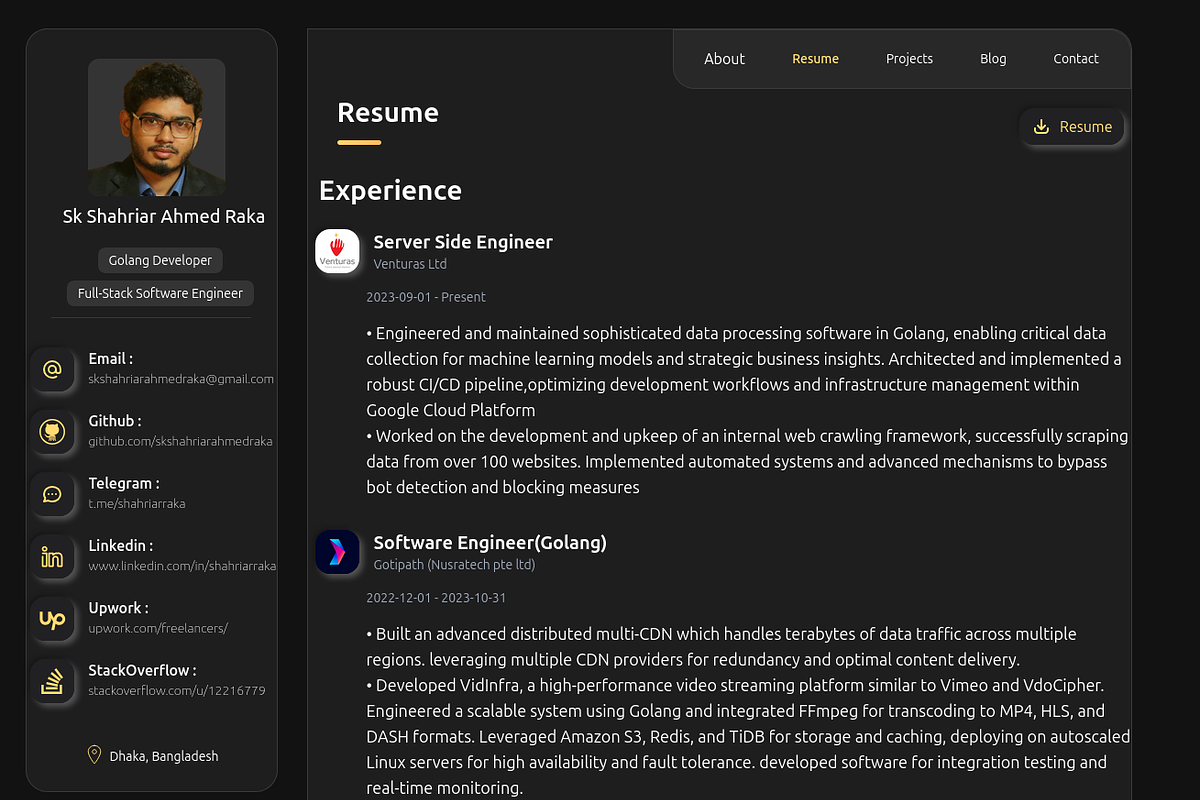 DarkGolden Customizable Portfolio, a React Template by skshahriarahmedraka (Photo 7 of 13)