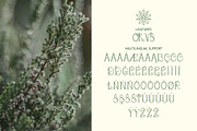 Heather - uppercase font, a Font by rosypatterns (Thumbnail 3 of 5)