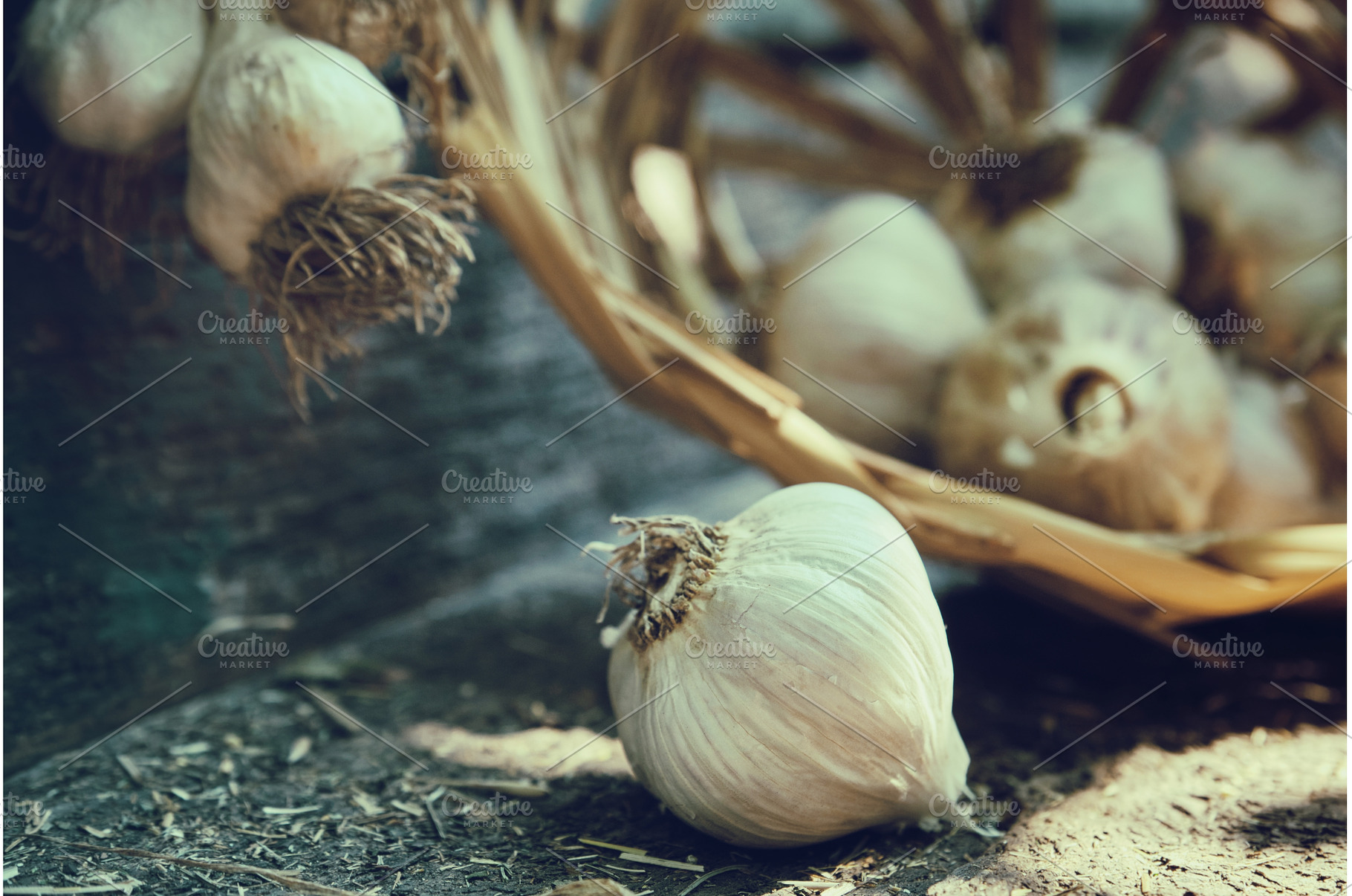 Close-up of fresh garlic bulb on, a Food & Drink Photo by Rohan Photography