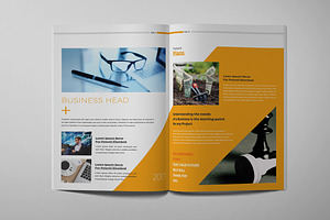 The Brochure