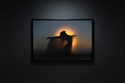 SHINING. Light Photo Collection., a Person Illustration by O m N i  Studio (Thumbnail 3 of 17)