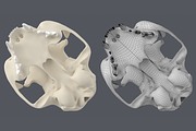 Cat Skull Base Mesh, an Animal 3D Model by VK Studio (Thumbnail 5 of 8)