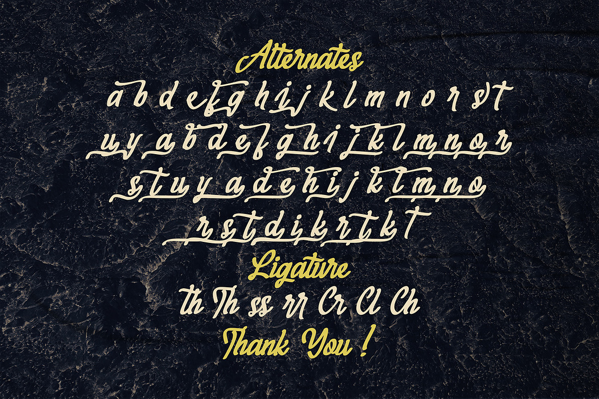 Megahunt - Brush Script Font, a Script Font by StringLabs (Photo 13 of 13)