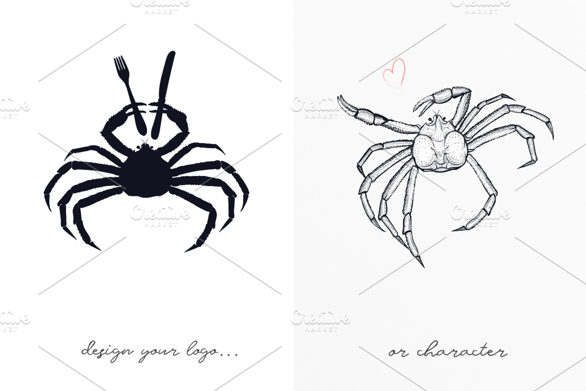 Crab Sketch Editable illustrations, an Object Graphic by Aquatinta (Photo 8 of 11)