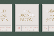 Faberge, a Serif Font by Larin Type Co. (Thumbnail 2 of 15)