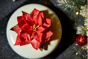 Festively Decorated Dessert, a Holiday Photo by IlliaBondarPhotography