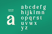 Rutle Dove - Beauty Retro Serif Font, a Serif Font by Flawless And Co (Thumbnail 7 of 10)