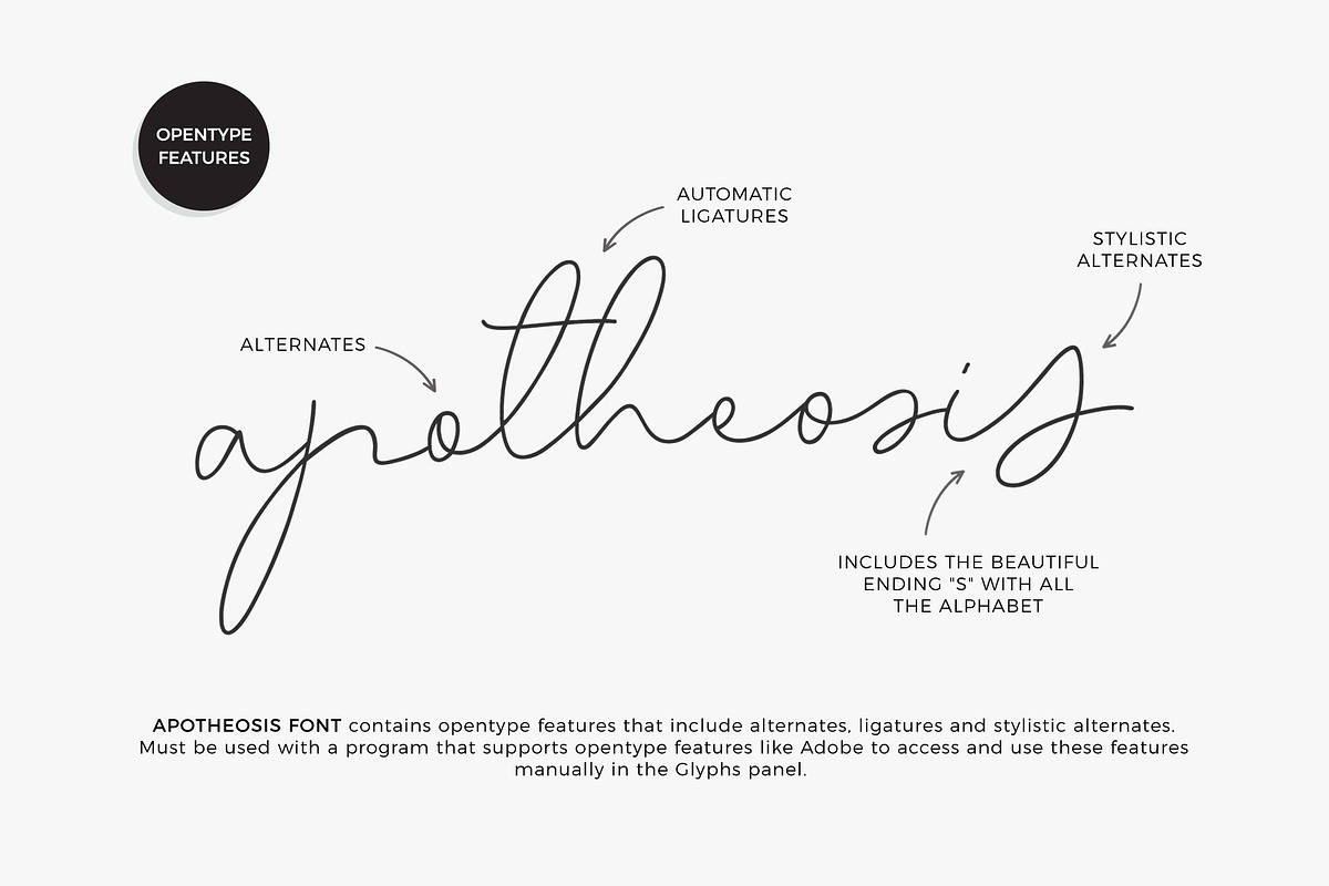 Script Font Apotheosis, a Script Font by pixelcolours (Photo 7 of 15)