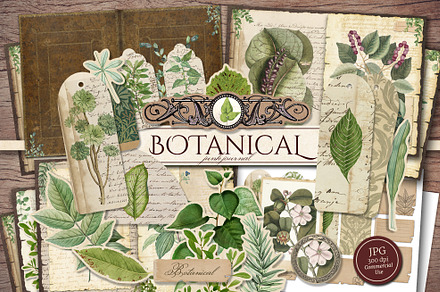 Botanical Scrapbook Kit, a Decorative Illustration by Secret Helper